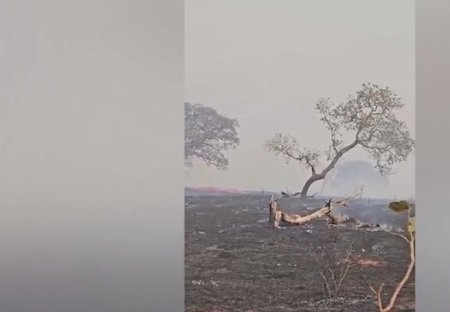 Fogo toma conta de fazendas em Paranaíba e mata animais