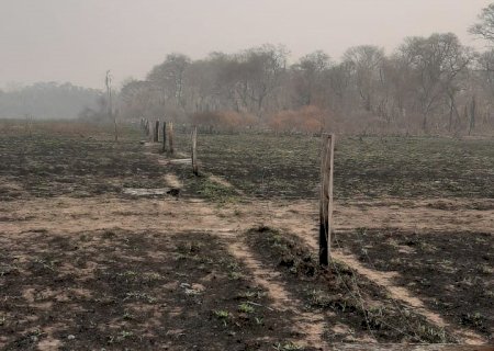 Programa SuperAção Pantanal é lançado para ajudar produtores pantaneiros na recuperação após incêndios>