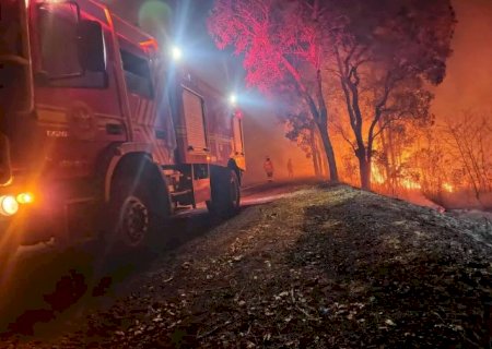 Pantanal deve “sumir” antes do fim do século, diz climatologista>