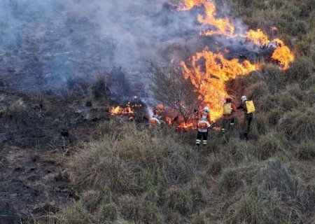 Incêndio com devastação de 333 mil hectares resulta em multa de R$ 100 milhões, no Pantanal