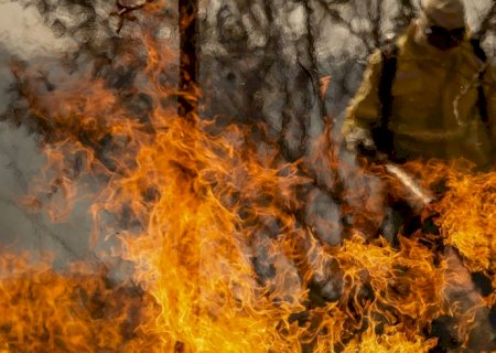 Entenda as linhas de investigação dos incêndios florestais no país