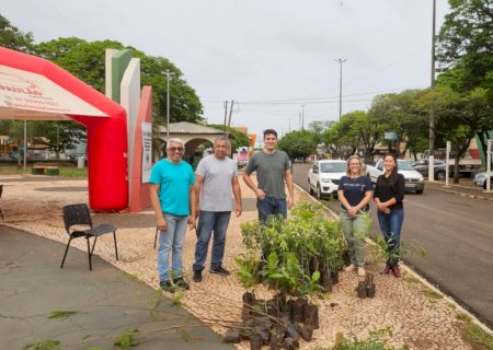 No Dia da Árvore,  prefeitura de Caarapó distribui mais de 200 mudas para a população em geral