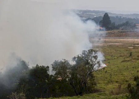 Incêndios no interior de SP matam mais de 2 mil animais da pecuária