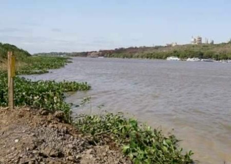 Nível do Riio Paraguai cai 2 cm por dia, ritmo que indica recorde histórico de seca>