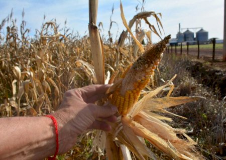 Reforma tributária deve prejudicar arrendamentos do agro no Estado>