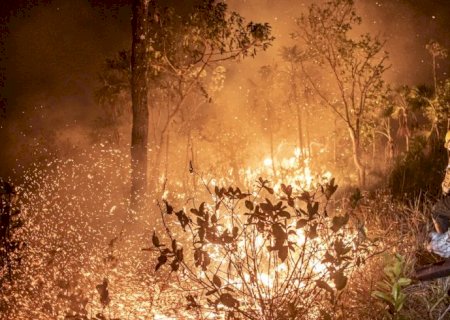 Brasil teve 11,39 milhões de hectares atingidos pelo fogo este ano