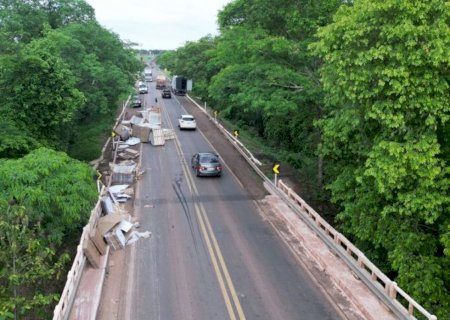 Motorista tomba carreta carregada com pallet e papelão ao tentar desviar de animal na pista