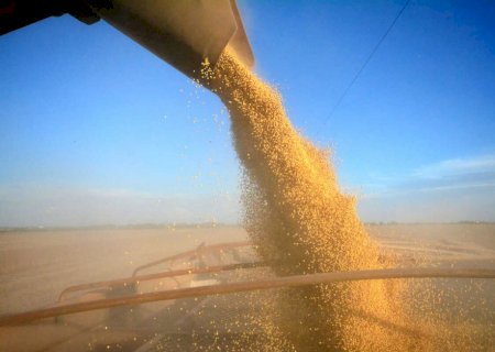 Estado tem o sexto maior parque industrial de processamento de soja