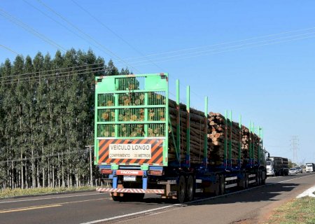 Exportação de industrializados cresce 20% e a de matéria-prima cai 28%