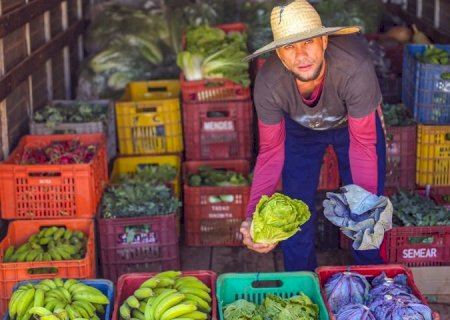 SES celebra 10 anos do Guia Alimentar Brasileiro com web aula sobre inclusão e promoção da saúde