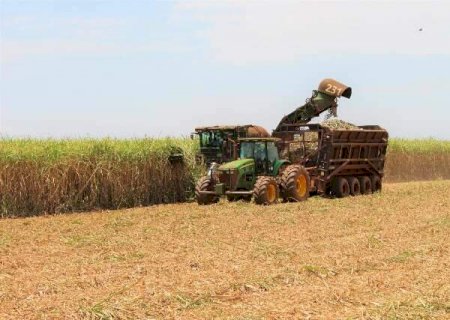 Seca afeta e cana no Centro-Sul rende 16,5% abaixo da média da safra passada