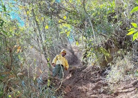 Exército é multado em R$ 6,5 milhões por incêndio florestal em parque>