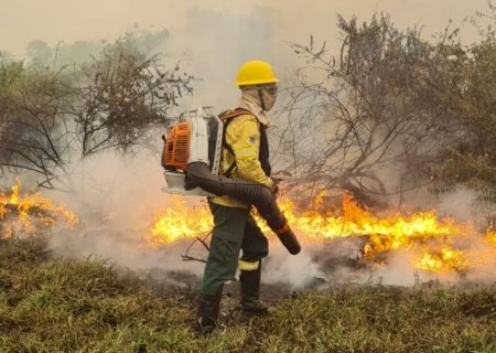 Incêndios devastam 1,6 milhão de hectares do Pantanal de MS