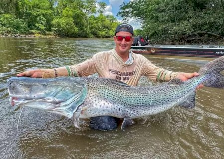 Pescador fisga dois pintados gigantes no rio Dourados, em Fátima do Sul>