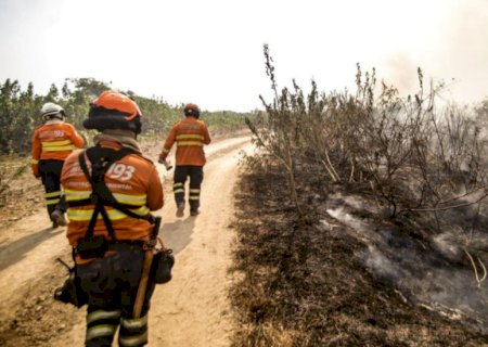 MS fecha setembro com 1,9 mil focos de incêndio, cinco vezes mais que em 2023