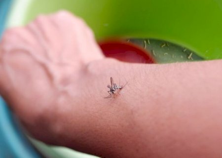 Ministério da Saúde lança campanha nacional de combate à dengue, zika e chikungunya