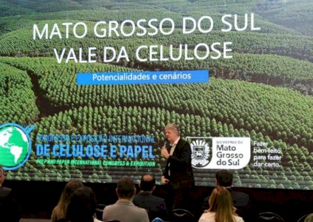 Mato Grosso do Sul tem a área plantada de florestas que mais cresce no país 