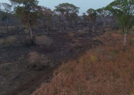 Incêndios voltam a aumentar em semana com previsão de calor em MS