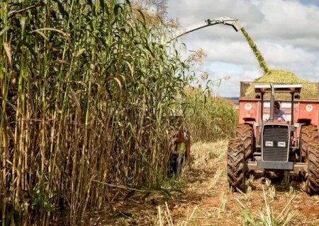 Caarapó está entre entre os 100 municípios mais ricos do agro; MS tem 14 ao todo>