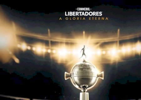 Botafogo goleia Peñarol e encaminha vaga na final da Libertadores