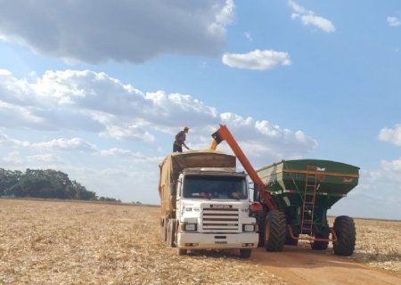 Fundems autoriza Governo a lançar editais de R$ 13,4 milhões para promover agricultura