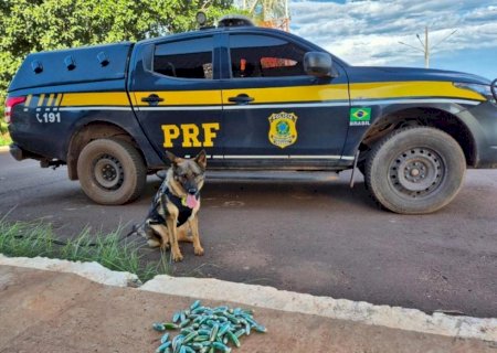 Boliviano é preso com cocaína presa ao corpo em MS