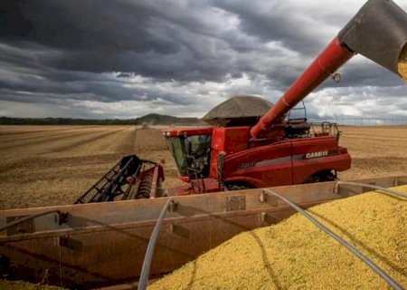 Impulsionado pela soja, Mato Grosso do Sul expande produção agropecuária no 1° semestre de 2024>