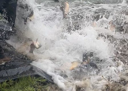 Pesca nos parques de Dourados está proibida devido a Piracema>