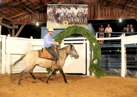 Feira Agropecuária do Pantanal terá primeiro shopping do cavalo pantaneiro