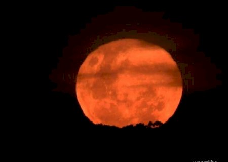 Última lua cheia do ano: veja fotos do fenômeno astronômico em MS