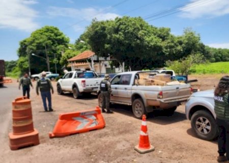 Operação Piracema já apreendeu mais de 400 quilos de pescado em MS, aponta Imasul