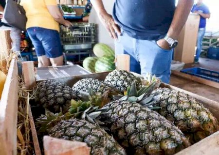 Caarapó, Juti, Dourados e Itaporã lideram lista de frutas com mais resíduos de agrotóxicos>