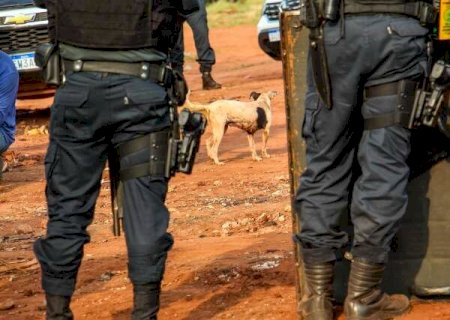 Motociclista empina moto e chama policiais de “macacos” ao ser preso em MS>