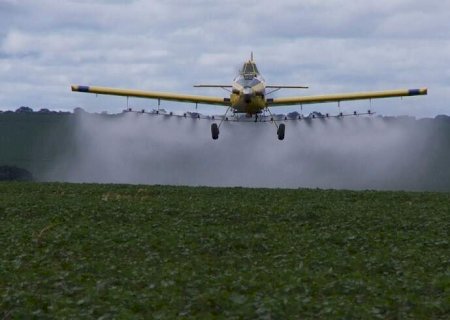 Agrotóxico se espalha por MS e é encontrado até em frutas e água da chuva, mostra pesquisa>