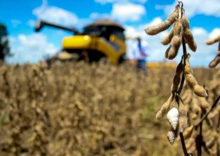 China suspende compra de soja de 3 empresas de MS por contaminação com agrotóxico>