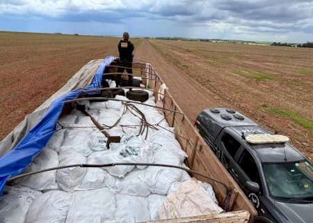 DOF apreende caminhão com 8 toneladas de defensivos agrícolas contrabandeados em Laguna Carapã>