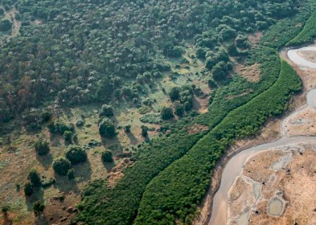 Pesquisa com bactérias na Amazônia pode desenvolver novos medicamentos>