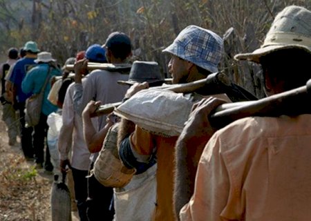 Indígenas de Amambai são resgatados de trabalho escravo no interior paulista>