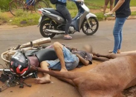 Cavalos soltos causam grave acidente com moto e tumultua avenida em MS>