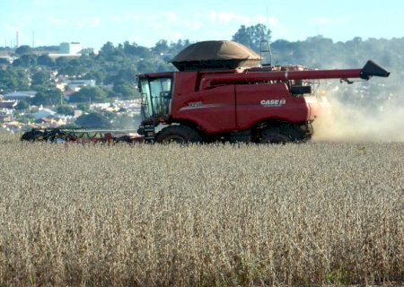 Estimativa aponta safra de 325,8 milhões de toneladas em 2025; MS é 5º maior produtor>