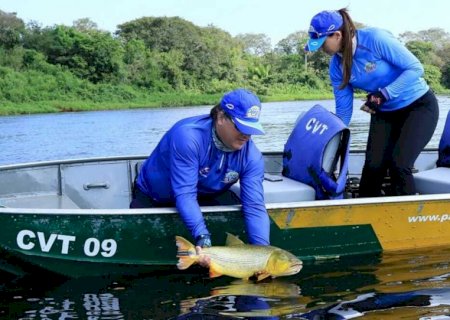 Pesca do Dourado segue proibida em Mato Grosso do Sul>