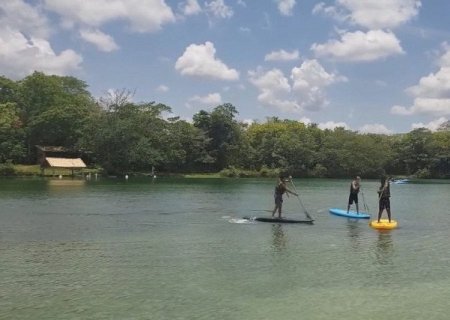 Após ataques de peixes, atrativo em Bonito é reaberto parcialmente com novas medidas de segurança