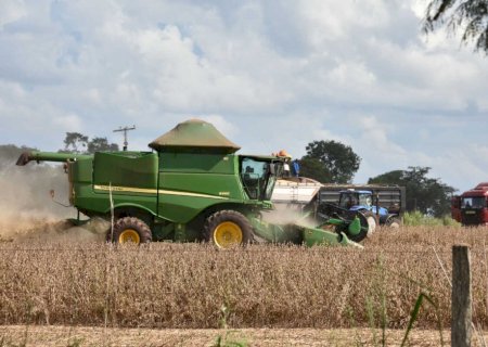 Mato Grosso do Sul registra a 2ª maior safra de soja da história
