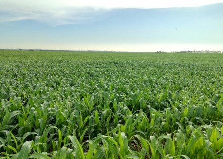 Alerta meteorológico pede atenção aos agricultores do Estado