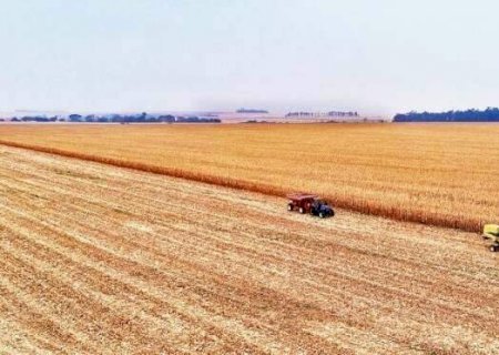 Produtor rural é a profissão que mais ganha em MS