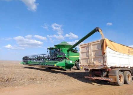 Apesar da seca, MS registra aumento de 5% na produtividade da soja>