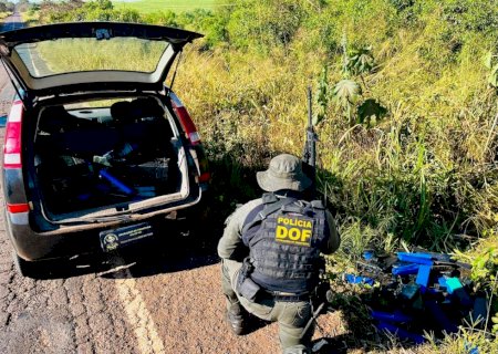 DOF apreende mais de 200 quilos de droga em meio a mata em Ivinhema>