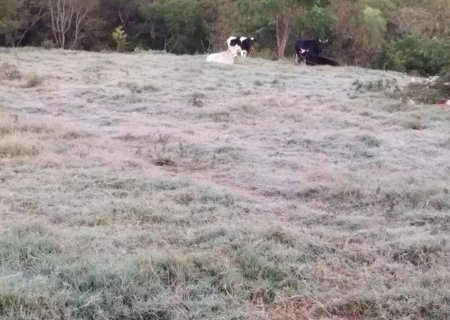 Duas cidades registram temperaturas negativas em MS
