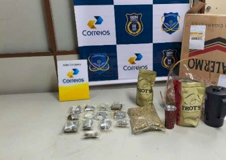 Maconha avaliada em R$ 126 mil é apreendida em pacote de tereré nos Correios