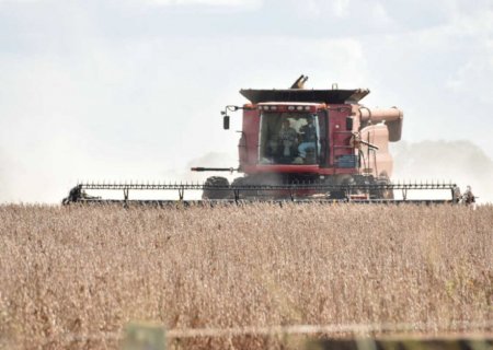 Na 2ª maior safra, MS produz 14,06 milhões de toneladas de soja